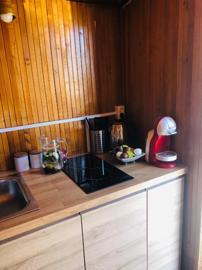 Ezeru Gleby Hotel Zarasai Buitenkant foto